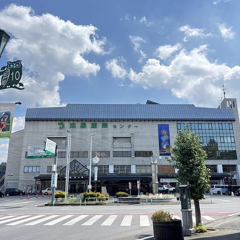 埼玉県秩父市へ単身引越し