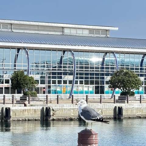 福島県いわき市へ緊急配送便