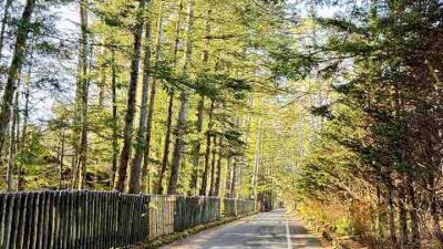 11月中旬～下旬はあちこちへ