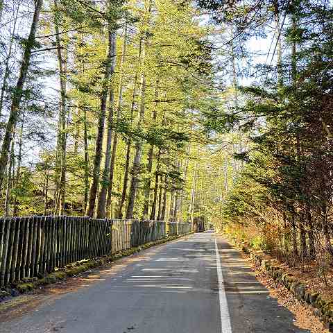 11月中旬～下旬はあちこちへ